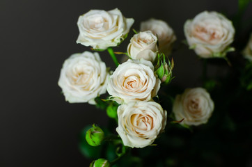Nice bouquet on a dark background. Elegant composition of roses. Close-up view of a vibrant flowers. Picture for a desktop or smartphone background.