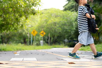 A little child, kindergarten boy hold his backpack walking on pedestrian crossing to school by...