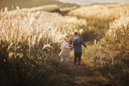 happy childhood, a blonde little boy and a little girl run across a field of wheat in sunset light and hold hands