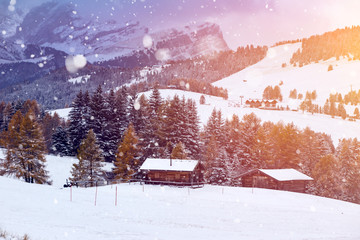 Snowfall at Alpe de Siusi in the sunset.