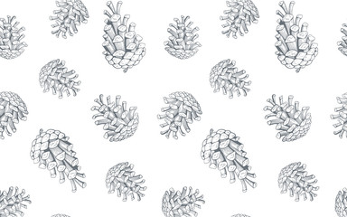 Hand drawn seamless pattern with pine cones. Vector