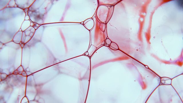 Microscopic view of foam structure, blood fluid flow, laboratory research