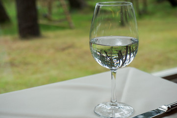 ワイングラスに注がれた水に庭園が映るレストラン