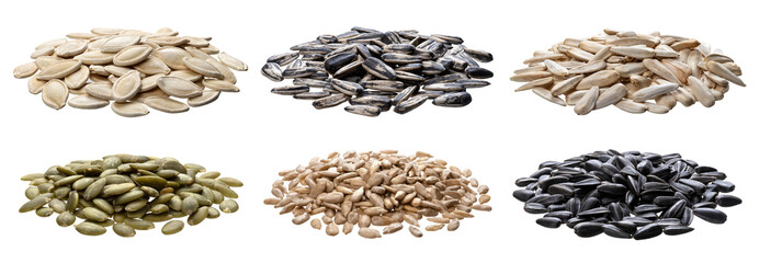 Collection of various seeds isolated on white background
