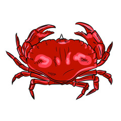 Vector hand drawn illustration of crab isolated on white background 