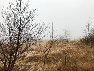 Haukadalur, the home to some of the most famous sights in Iceland: the geysers and other geothermal features which have developed on the Laugarfjall rhyolitic dome.