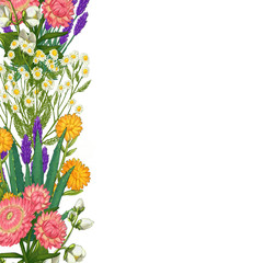 Hand drawn medicinal plant frame. Healing herbs border. isolated on white background