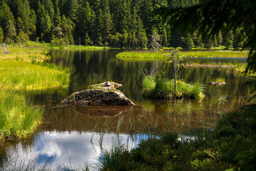 Kleiner_Arbersee_5381