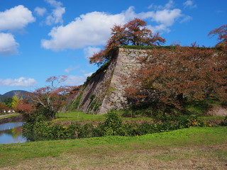 秋の篠山城跡