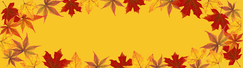autumn – frame of colorful leaves isolated on yellow texture – background panorama banner long