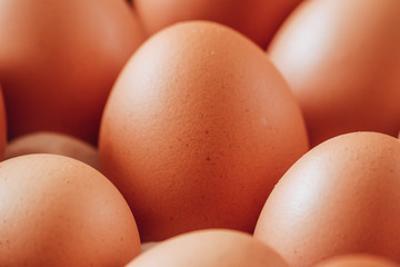 Close-up of an egg surrounded by more eggs.