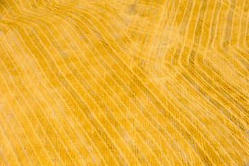 Fields and meadows. Aerial view. Landscape.