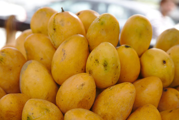 NB__7575 Orange mangos on display for sale in a market