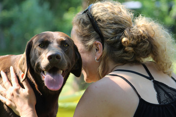 smiling brown labrador with happy face