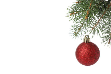 Pine branch with red bauble isolated on white background