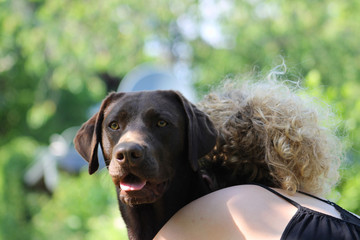 brown labrador is getting hugged by woman