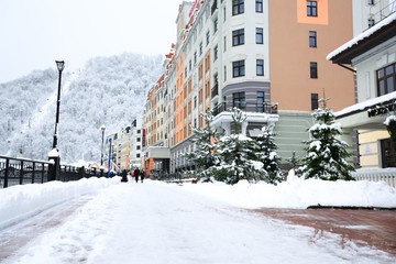 Obraz premium Winter.