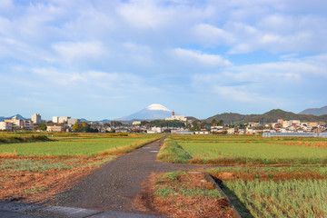 平塚市北金目から見た富士山（神奈川県）