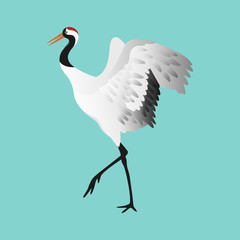 Japanese dancing red-crowned crane in different poses isolated
