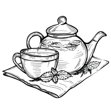 recommend clip art: Hand drawn vector sketch of Healthy green tea cup with tea leaves. Cup of tea with mint, isolated on white