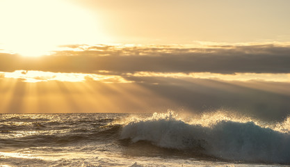 Wave in Alghero shore at sunset