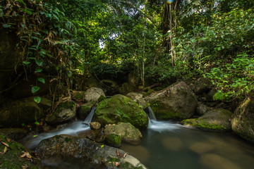 Kathu Waterfall in the tropical forest area In Asia, suitable for walks, nature walks and hiking, adventure photography Of the national park Phuket Thailand,Suitable for travel and leisure.