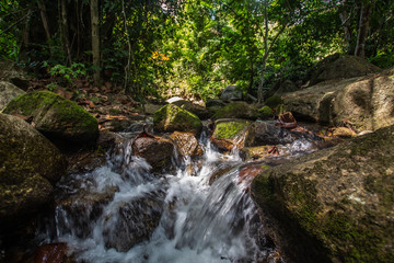 Naklejka na ściany i meble Kathu Waterfall in the tropical forest area In Asia, suitable for walks, nature walks and hiking, adventure photography Of the national park Phuket Thailand,Suitable for travel and leisure.