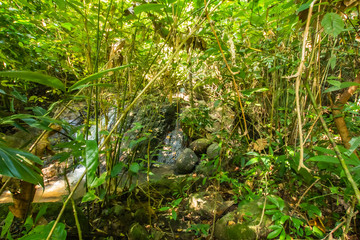 Kathu Waterfall, Phuket, Thailand. A forest path in a beautiful, abundant waterfall.