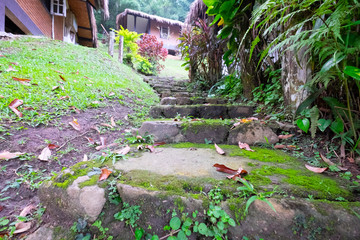 Resort walkway,Resort garden.