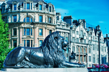 The Lion of Trafalgar Square with ancient buildings on background, London