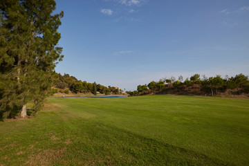 green trees and lake