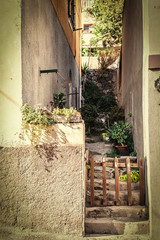 Fototapeta na wymiar Small wooden gate in an Italian village