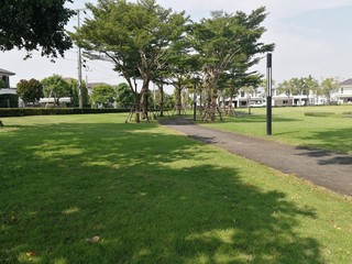 Village with a park