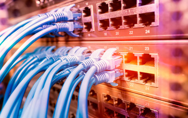 Server rack with blue and red internet patch cord cables connected to black patch panel in data server room