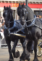 Obraz premium horse and carriage in front of building