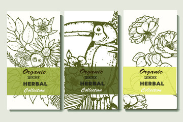 Herbal illustration on label packaging design. Hand drawn vector botanic set with branch, flowers, bird.