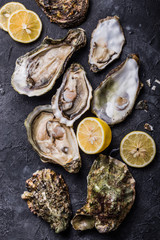 Fresh open Oysters. Healthy sea food. Dinner in restaurant. Gourmet food. Dark background. Top view