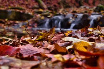 Long exposure photo of the tiny creek and waterfall in the forest of Óbánya, Hungary in autumn