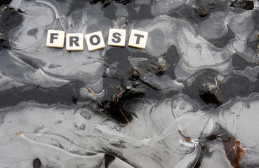 Frost 4
