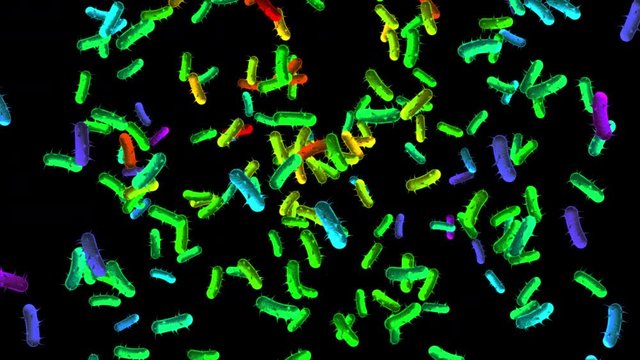Animated Huge Germs Bacteria Virus Floating around Video Clip with transparent background Alpha Channel UHD 4K Full HD resolution