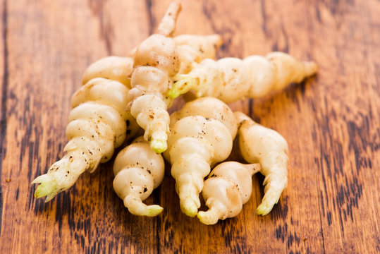 Japanese crosne Stachys affinis tubers rhizome root vegetable closeup