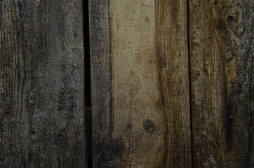 spruce wooden background