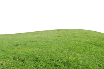 Green grass field isolated on white background with clipping path.