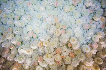 beautiful flower background with white and pink flowers