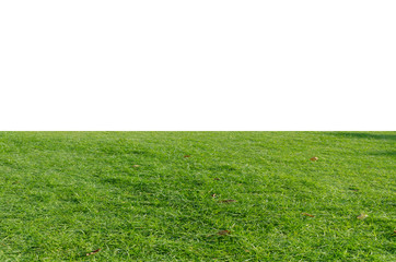 Green grass field isolated on white background with clipping path.