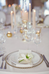 Beautiful table setting with white flowers