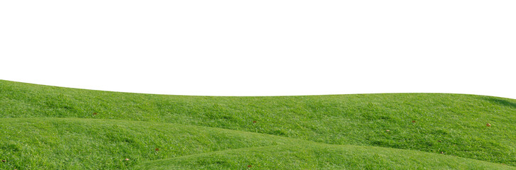 Green grass field isolated on white background with clipping path.