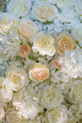 beautiful flower background with white and pink flowers