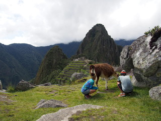 A couple sitting and staring at a llama in front of ancient Inca town of Machu Picchu with Huayna Picchu Mountain in the background, Ruins of Inca Empire city, Peru