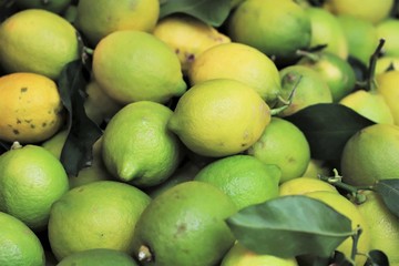 closeup of lemons exposed to the market